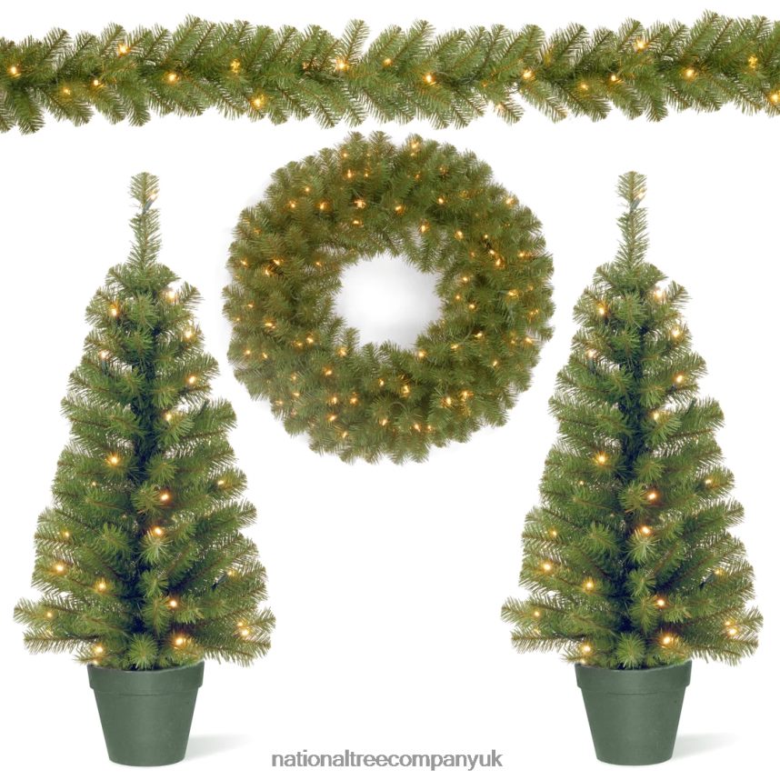 Greenery | National Tree Company Evergreen Assortment with Battery Operated LED Lights F2L4F512